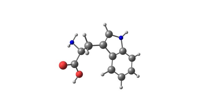 Tryptophan amino acid rotating video on white