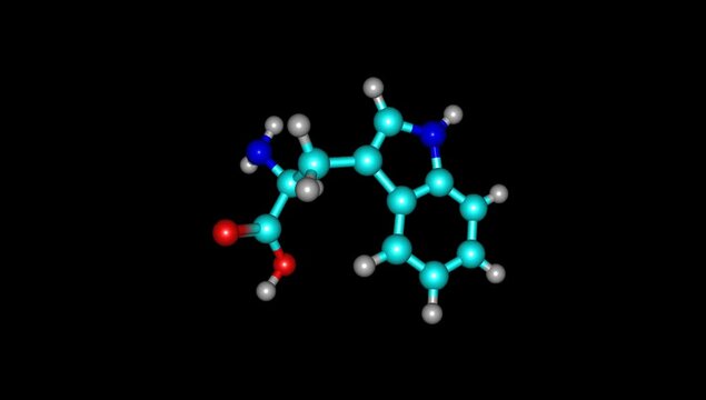 Tryptophan amino acid molecule rotating video 