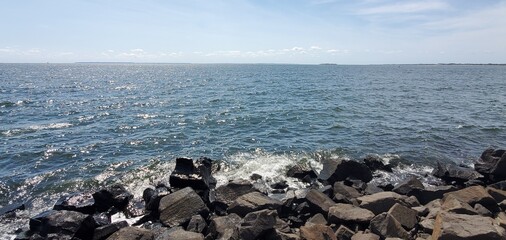 seagulls on the beach