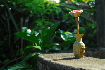flower in a vase
