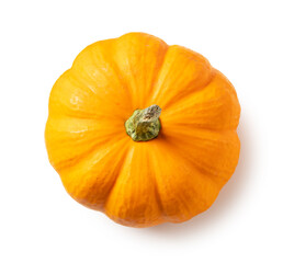 Pumpkin on a white background