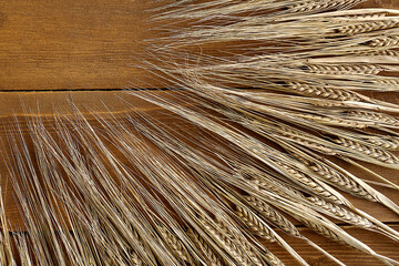 Ears of brown rye on a wooden table. Background in the form of diagonally arranged ears of rye on wooden boards.