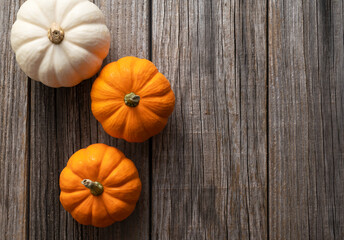 Orange pumpkin and white pumpkin on an old wood.