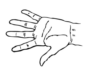 Open palms complete with hand lines