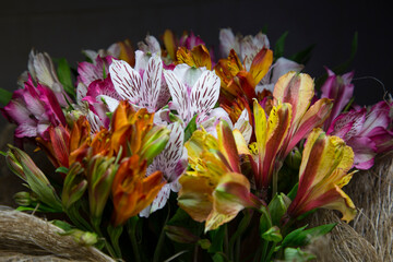 Bouquet of white, pink, orange alstroemeria flowers with green leaves. Closeup on black background.