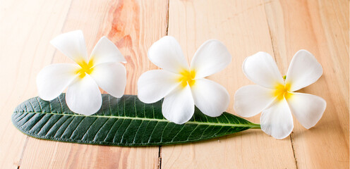 Fototapeta premium Leelawadee an isolated on wood background