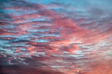 A blue sky is draped with beautiful colorful pink clouds at sunset.