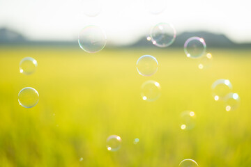 たくさんのシャボン玉