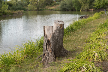 Landscape photos taken in the state Lermontov Museum-reserve Tarkhany