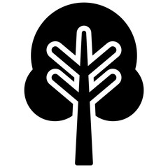 Obraz premium Oak Tree