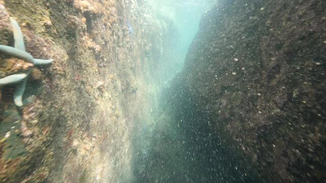 Underwater scene: Camera moving through a passage between big rocks.
