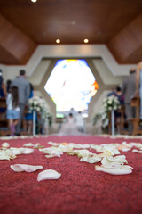 Isle shot from the ground with white petals at wedding ceremony