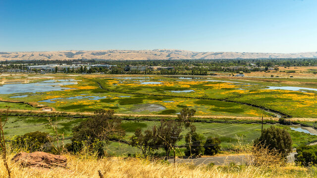 Don Edwards San Francisco Bay National Wildlife Refuge California