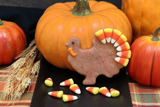 Turkey Cookie With A Candy Corn Tail For Thanksgiving In A Fall Setting