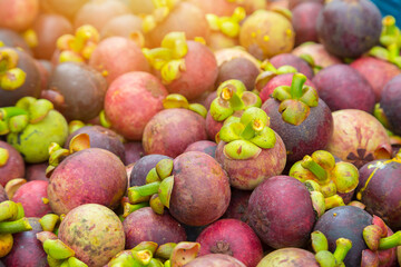 Mangosteen Thai fruits