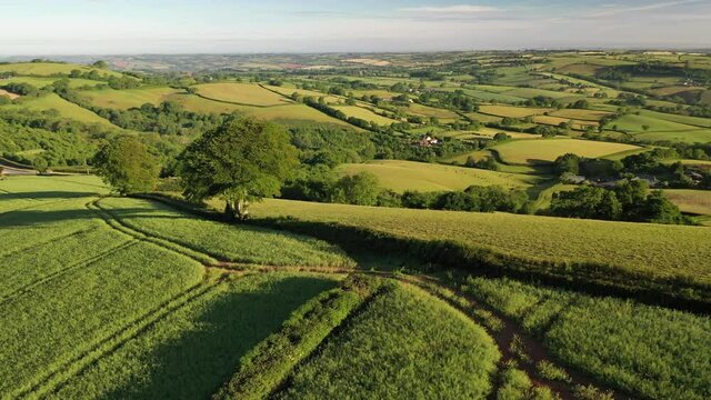 Aerial clip of rolling countryside near Cadbury Castle, Devon, England