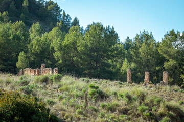 Fototapeta na wymiar Ruins of house in pine forest in the Murcia region. Spain.-