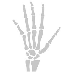 Hand Bone