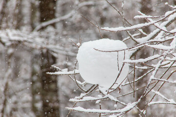 枝の上に降り積もって塊になった雪