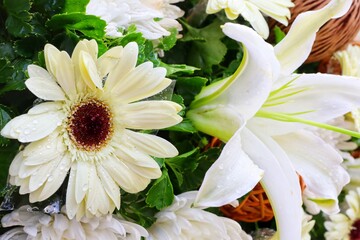 Obraz premium bouquet of white flowers