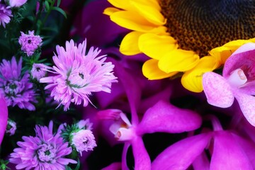 purple and yellow flowers