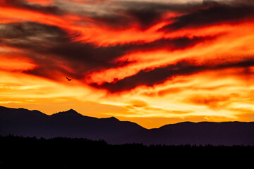 The clouds reflect the colorful sunset over Puget Sound as the sun slowly sets behind the mountains