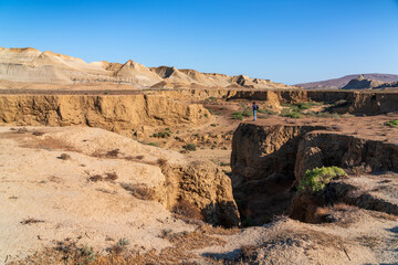 Nature photographer on a hillside