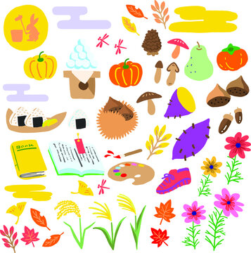 749 Best 木ノ実 Images Stock Photos Vectors Adobe Stock 749 Best 木ノ実 Images Stock Photos Vectors Adobe Stock