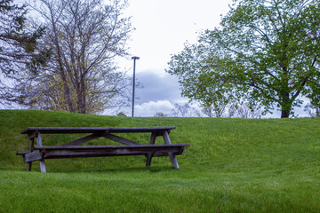 wood bench on green grass with tall city street light day light