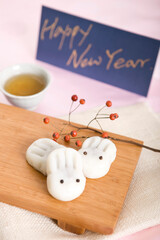 korean food, rice cake - baekseolgi