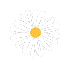 Daisy flower cartoon vector illustration