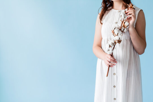 Girl in a white dress holds a sprig of cotton in her hands on a blue background