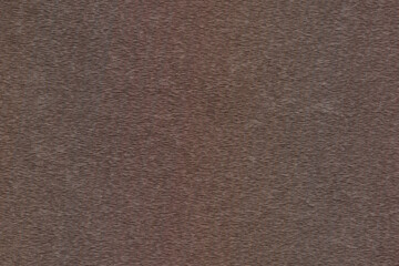 Fototapeta premium wood bark texture design