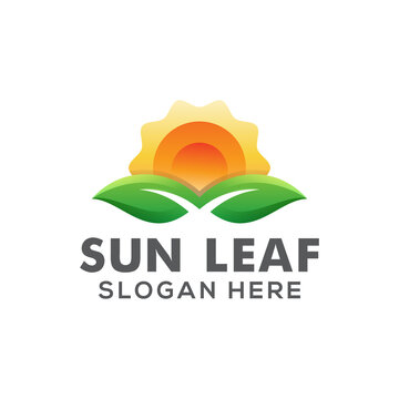 sun leaf natural logo design vector template