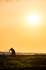 Fishing Worker Using Net Use Nets Netting Hardwork Work Looking Fish Snail Lobster Clam Crab...
