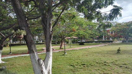 A day in Coimbatore, Tamilnadu
