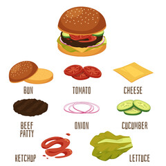 Vector flat isolated illustration of a burger with ingredients for cooking it