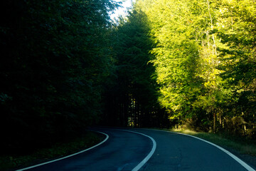 Fototapeta premium Beautiful landscape with forest on the way to Transfagarasan road without cars in Romania,Carpathian mountains in autumn,tree tunnel,mystic place,image for calendar,poster,cover design,postcard