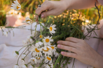 A girl weaves a wreath of field daisies