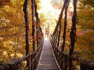 奥祖谷　かずら橋　秘境　紅葉　古い橋