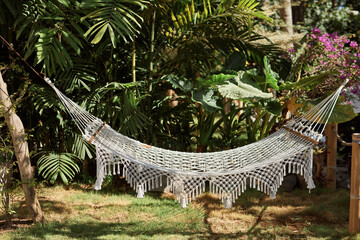 View of white macramre  hammock in tropical garden, place for chill and relax