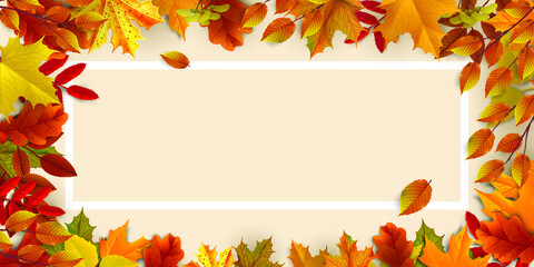 Naklejka na ściany i meble Greetings and gifts for the autumn and autumn season concept. Autumn background, poster and banner template with colorful autumn leaves.