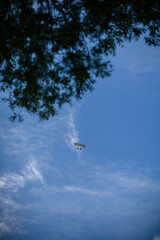 Small plane in the blue sky