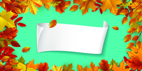 Naklejka na ściany i meble Greetings and gifts for the autumn and autumn season concept. Autumn background, poster and banner template with colorful autumn leaves.