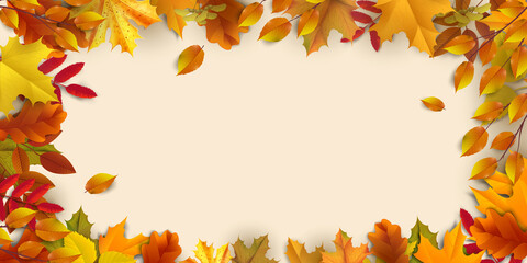 Obraz premium Greetings and gifts for the autumn and autumn season concept. Autumn background, poster and banner template with colorful autumn leaves.