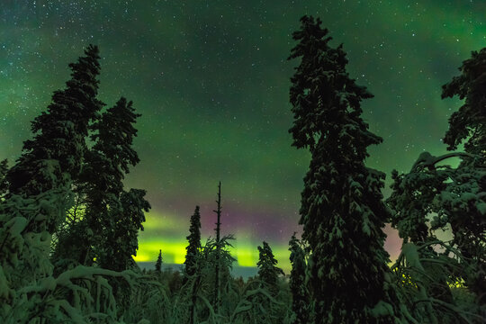 Northern lights in Finish Lapland, winter views