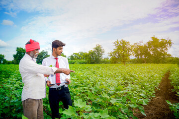 Indian farmer with agronomist at Cotton field , showing some information on tab