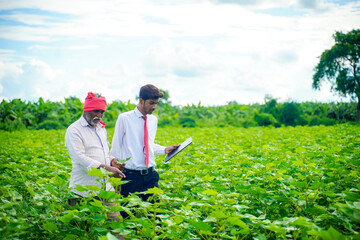 Indian farmer with agronomist at Cotton field , showing some information on tab