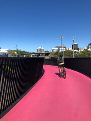 A man cycling in Auckland's Pink Path