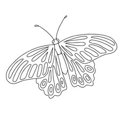 Isolated black and white butterfly on a white background. Vector illustration.